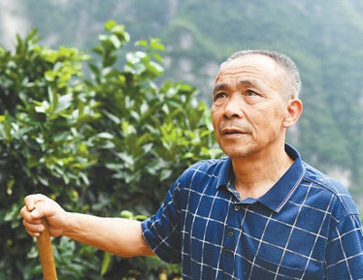 世界杯赛事官网