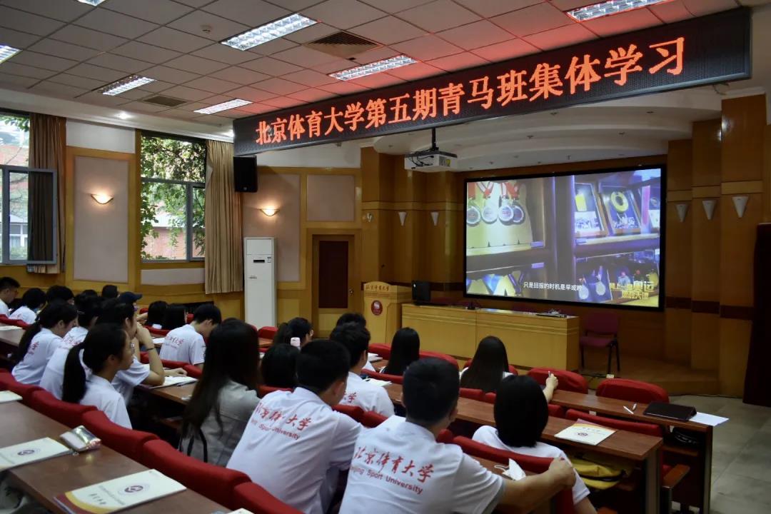 世界杯赛事官网