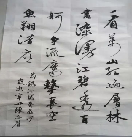 世界杯赛事官网