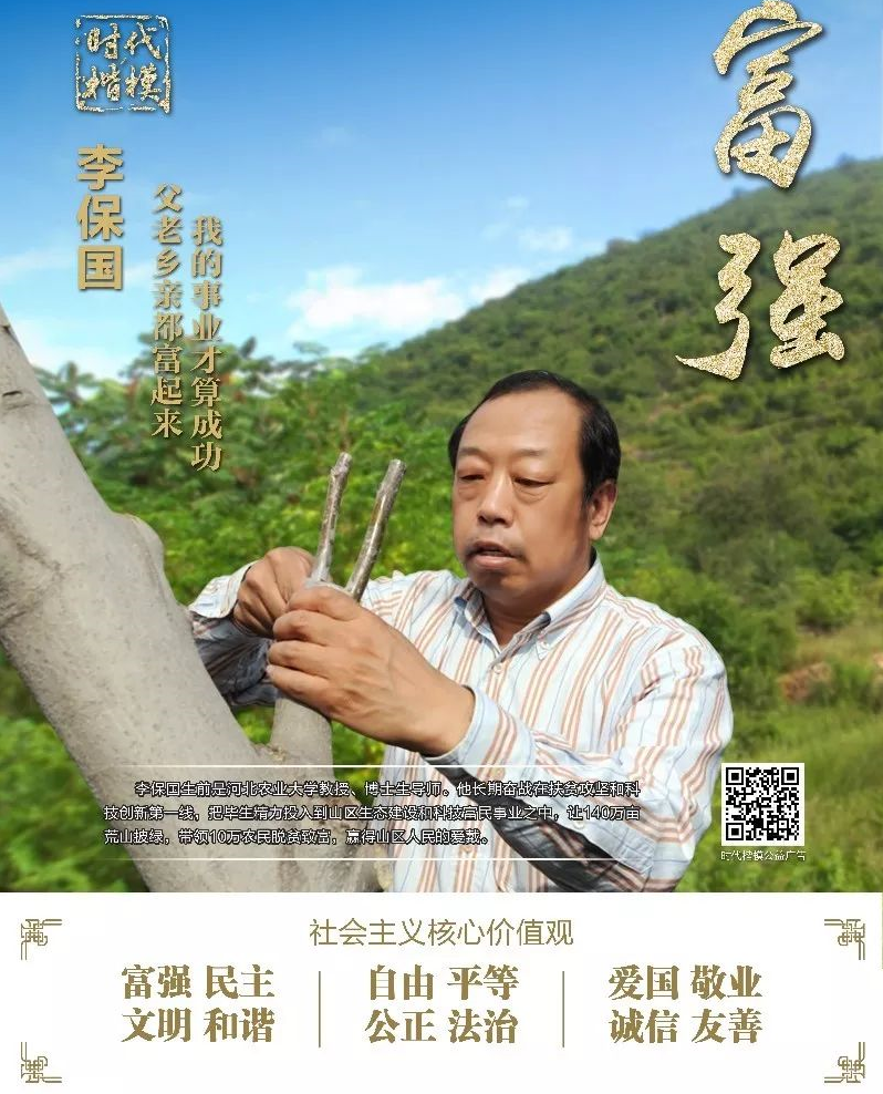 世界杯赛事官网