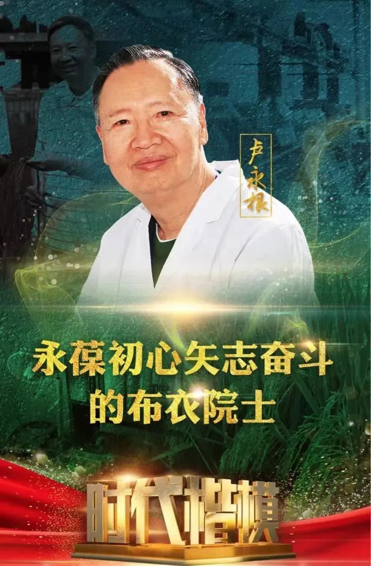 世界杯赛事官网